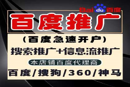 SEM外包助力企业海外市场拓展案例